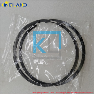 Diesel Engine Parts Piston Ring Set 8097545 Fit For Iveco 