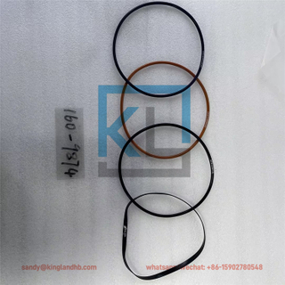 Liner Seal Kit 160-9874 1609874 For CAT C15 3406 Egnine
