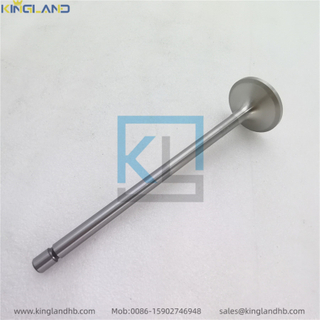 Engine D16 Intake Valve 20739057 Fit For VOLVO