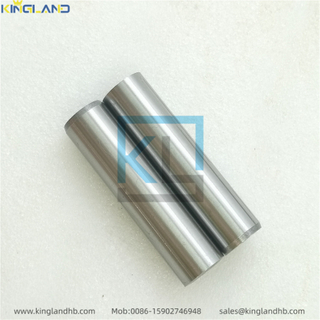 High Quality Diesel Engine Parts DS11 Exhaust/Intake Valve Guide 300958 300957 Suitable for Scania