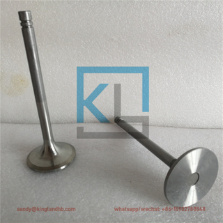 Intake Valve 100-7860 Exhaust Valve 148-7455 For CAT 3306 Engine