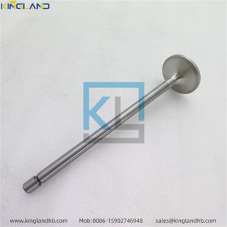 D16 Diesel Engine Parts Inlet Valve, 20739057 Suitable For VOLVO TAD1641GE