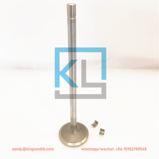 Cummins QSK23 Engine Inlet Valve 5473273 Intake Valve
