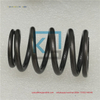 High Quality Engine Parts Valve Spring T417883 4360519 suitable for PERKINS