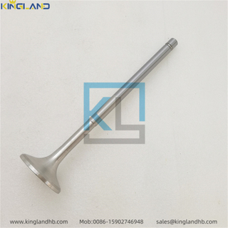 D16 Diesel Engine Parts Exhaust Valve 20513285 Suitable For VOLVO TAD1641GE