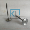 Intake Valve 100-7860 Exhaust Valve 148-7455 For CAT 3306 Engine