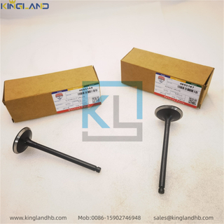 High Quality Diesel Engine Parts Exhaust Valve 4895188 Suitable for Iveco