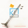 Cummins QSK23 Engine Inlet Valve 5473273 Intake Valve