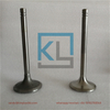 Intake Valve 6N9915 Exhaust Valve 6N9916 For CAT 3306 Engine
