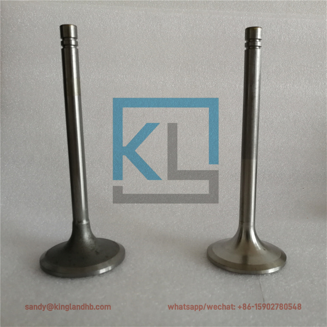 Intake Valve 6N9915 Exhaust Valve 6N9916 For CAT 3306 Engine