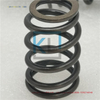 High Quality Engine Parts Valve Spring T417883 4360519 suitable for PERKINS