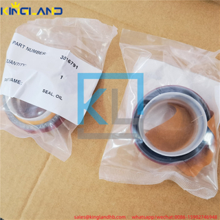 Engine k19 oil seal 3016791 Fit For cummins