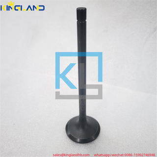 Engine qst30 valve in 3093476 Fit For cummins