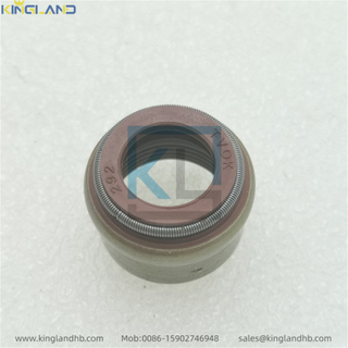 Engine TAD1643VE Valve Oil Seal 20924435 Fit For VOLVO