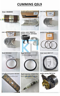 High Quality Parts 6CT8.3 Overhaul Kit/ Repair Part/ Cylinder Linder Kit/ Piston Kit /Gasket Set/ Bearing Kit/Valve Kit Fit For CUMMINS