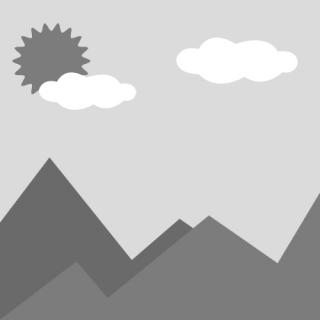 Excavator/ Generator Engine 6068 intake valve RE98062 Fit For JOHN DEERE